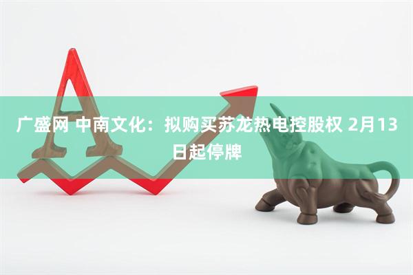 广盛网 中南文化：拟购买苏龙热电控股权 2月13日起停牌