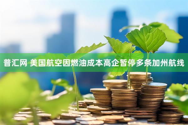 普汇网 美国航空因燃油成本高企暂停多条加州航线