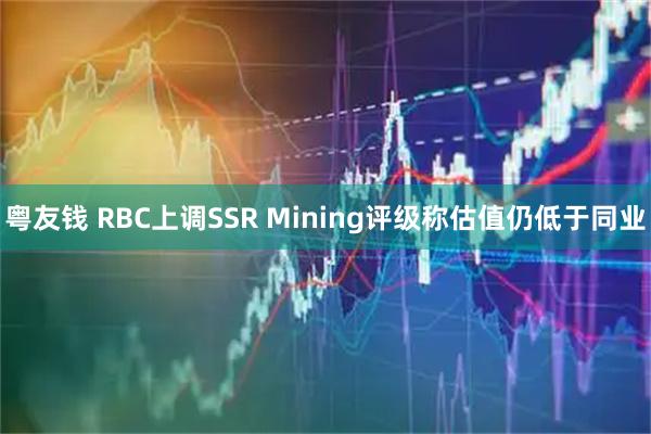 粤友钱 RBC上调SSR Mining评级称估值仍低于同业