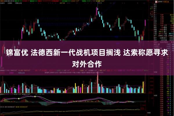 锦富优 法德西新一代战机项目搁浅 达索称愿寻求对外合作